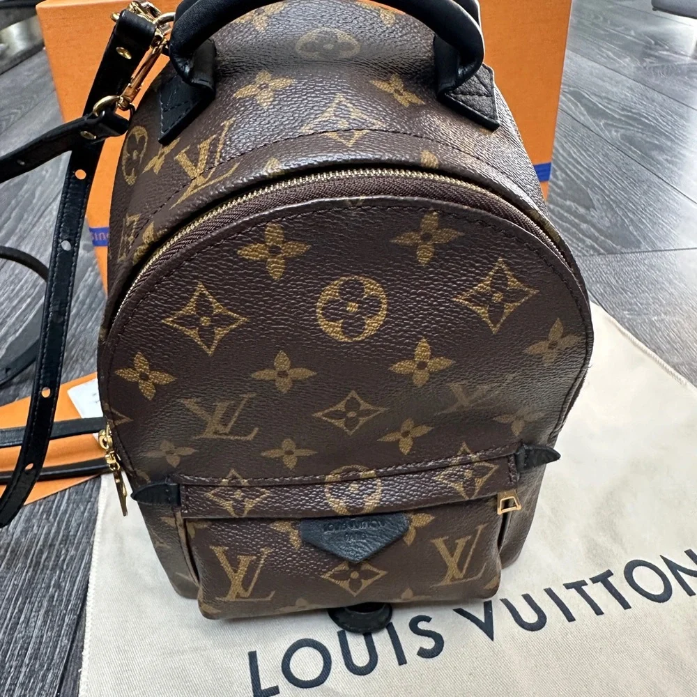 Louis Vuitton Brown Monogram Palm Springs Mini backpack - Picture 9 of 12